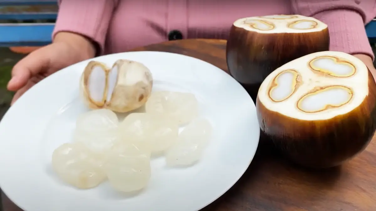 Buah Lontar: Superfood dengan Segudang Manfaat Kesehatan